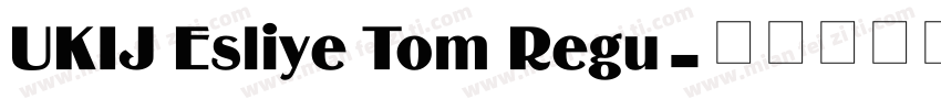 UKIJ Esliye Tom Regu字体转换